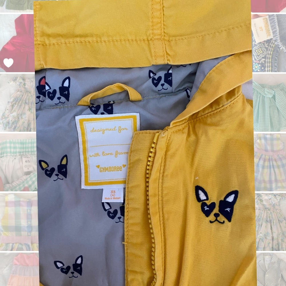 Yellow Jacket - Picture 2 of 2